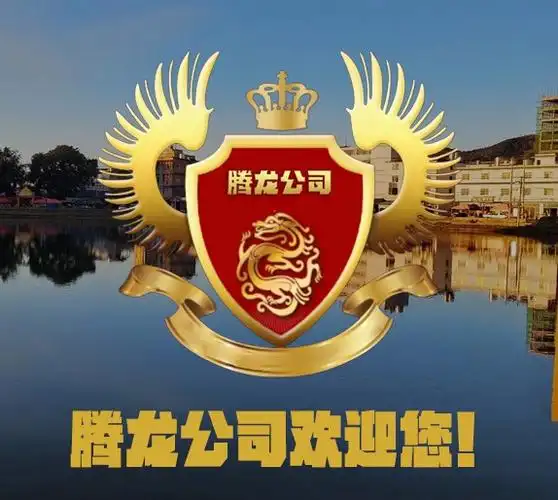 腾龙科技有限公司未来发展趋势