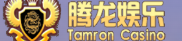 腾龙公司现场客服
